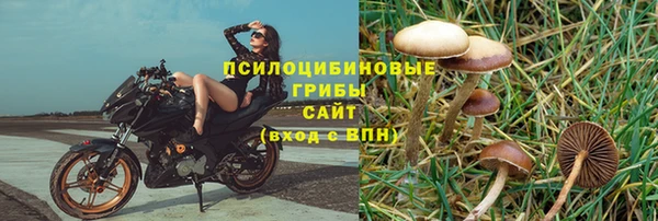 Альфа ПВП Алзамай