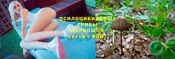 Альфа ПВП Алзамай