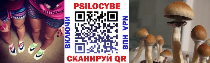 omg как войти  Елизово  Псилоцибиновые грибы ЛСД 